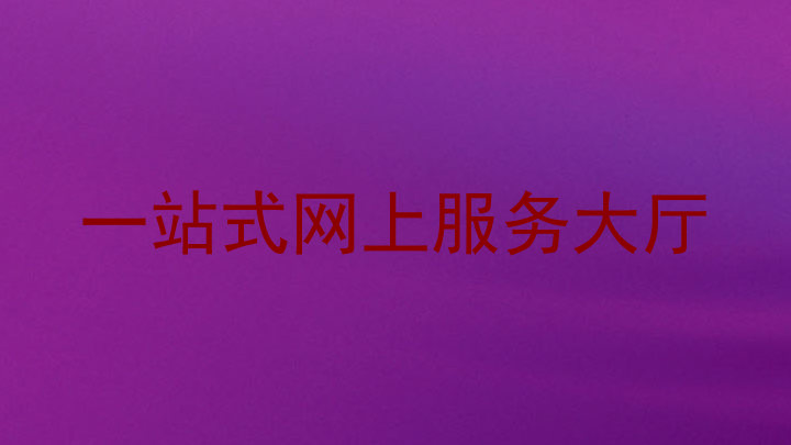 一站式网上服务大厅