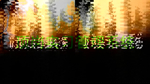 顶岗实习管理系统