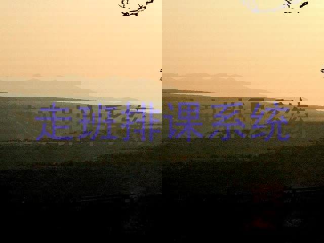 走班排课系统