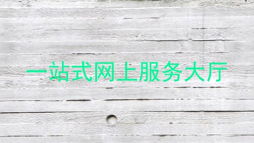 一站式网上服务大厅