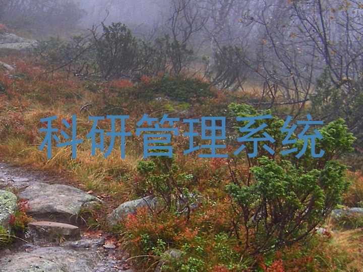 科研管理系统