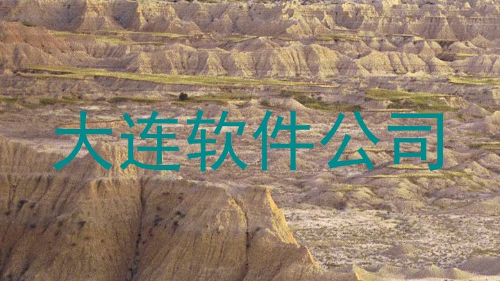 大连软件公司