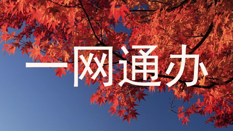 一网通办