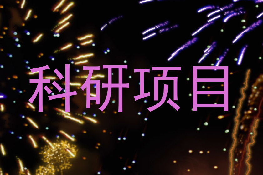 科研项目