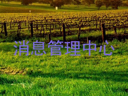 消息管理中心