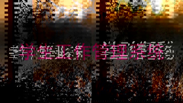 学生工作管理系统