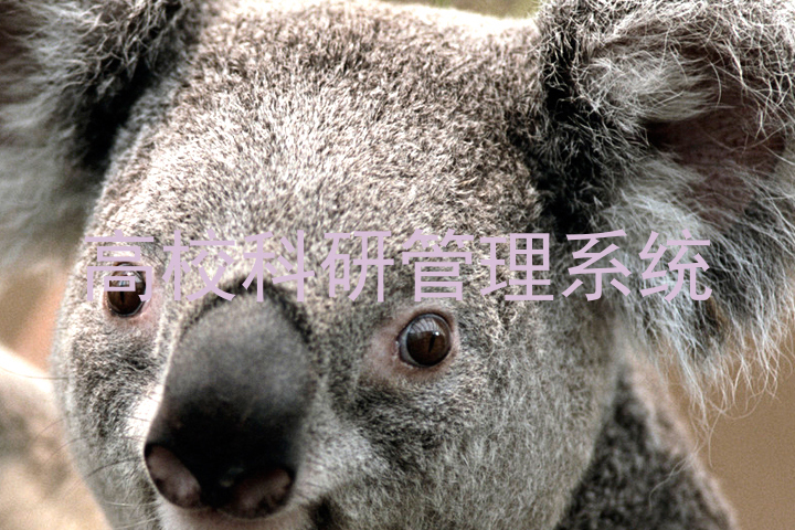 高校科研管理系统