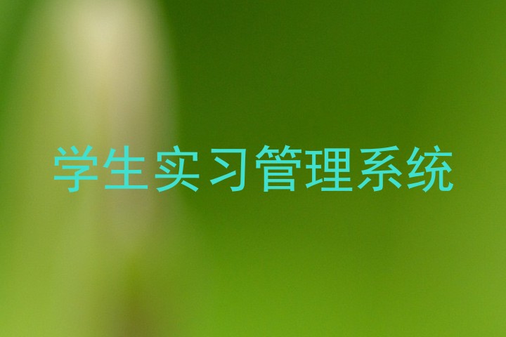 学生实习管理系统