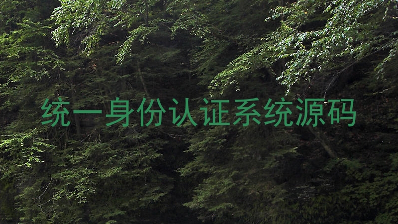 统一身份认证系统源码