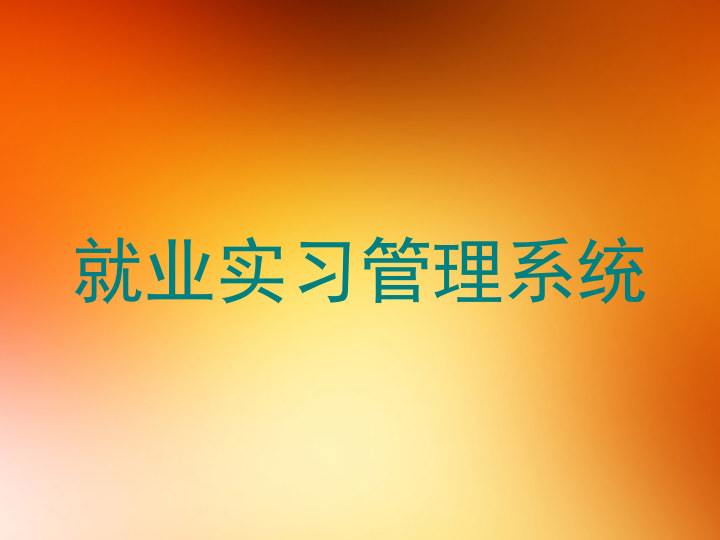 就业实习管理系统
