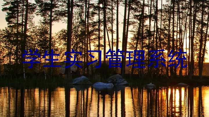 学生实习管理系统