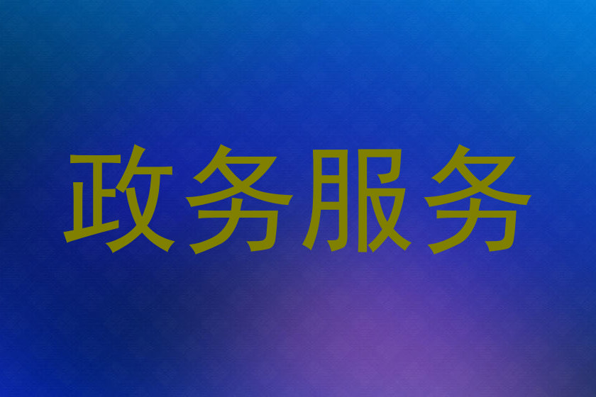 政务服务