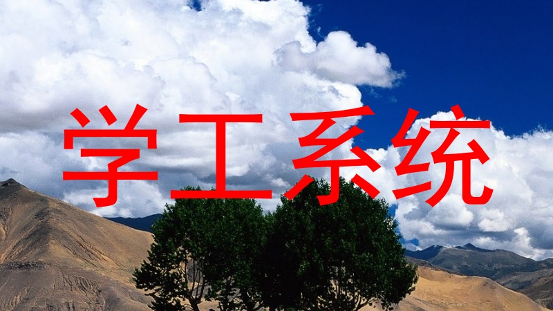 学工系统