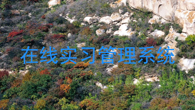 在线实习管理系统