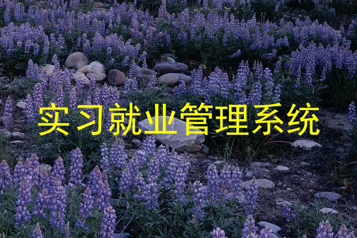 实习就业管理系统