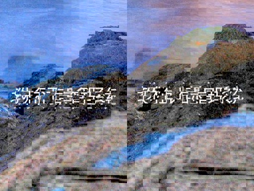 教材征订信息管理系统