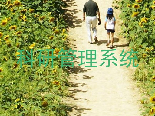 科研系统