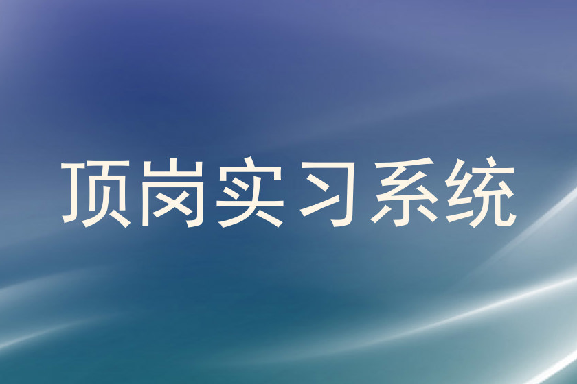 顶岗实习系统