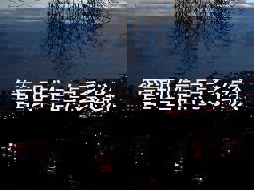 管理信息系统