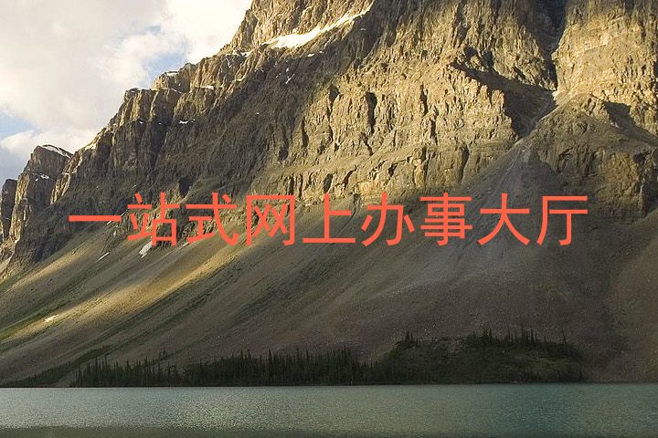 一站式网上办事大厅