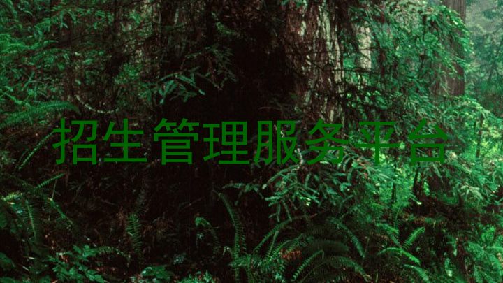 招生管理服务平台