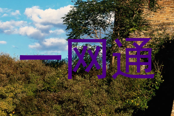 一网通