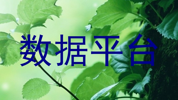 数据平台