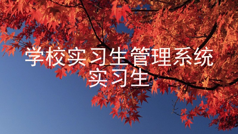 学校实习生管理系统|实习生