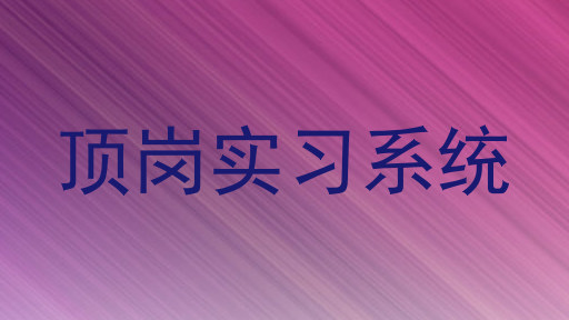 顶岗实习系统