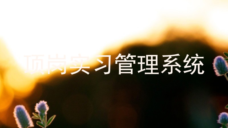 顶岗实习管理系统