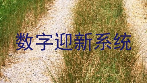 数字迎新系统