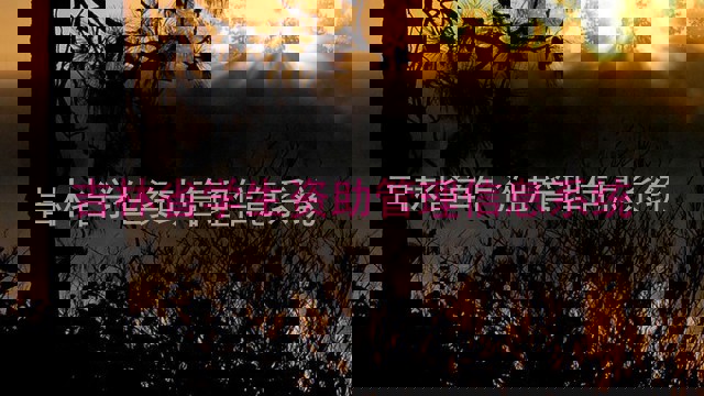 吉林省学生资助管理信息系统