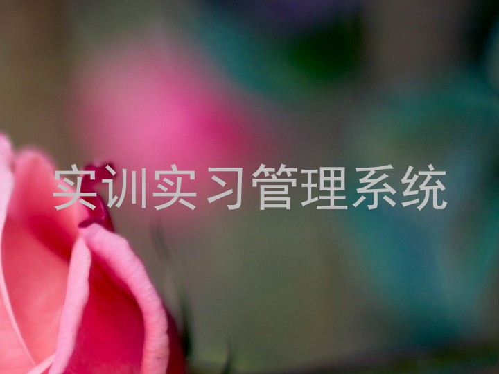 实训实习管理系统