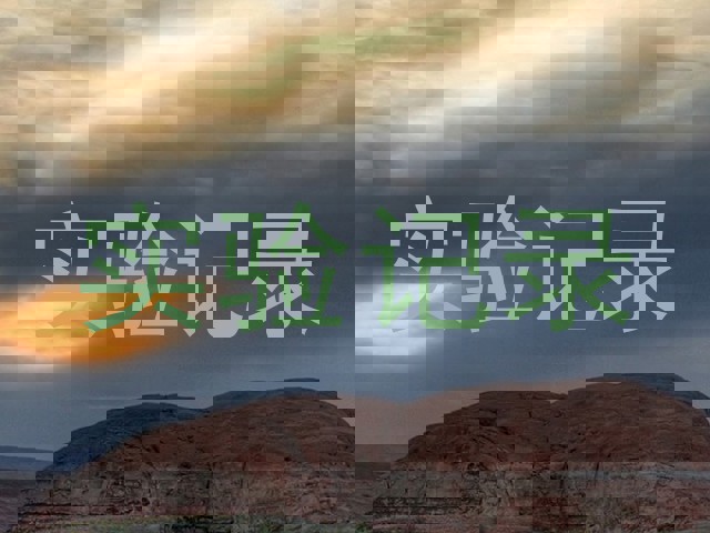 实验记录