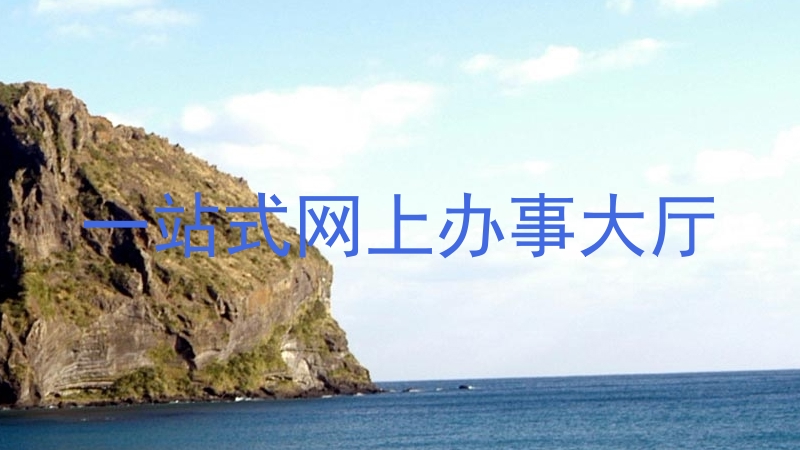 一站式网上办事大厅