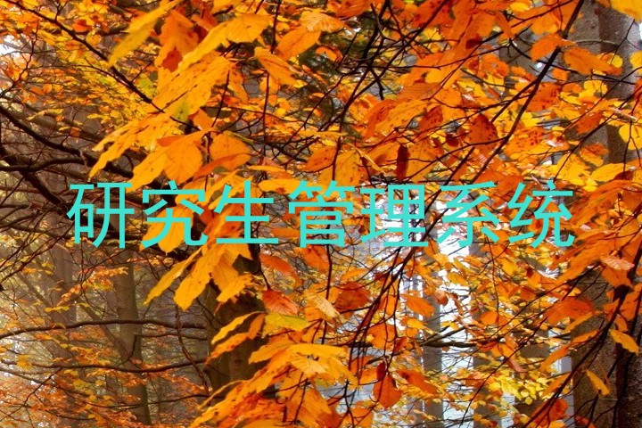 研究生管理系统