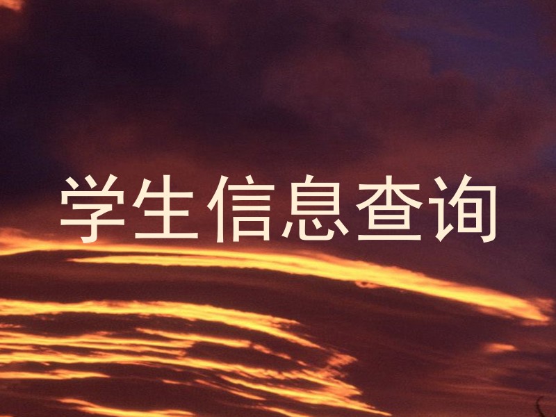学生信息查询