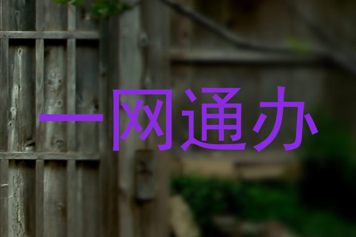 一网通办