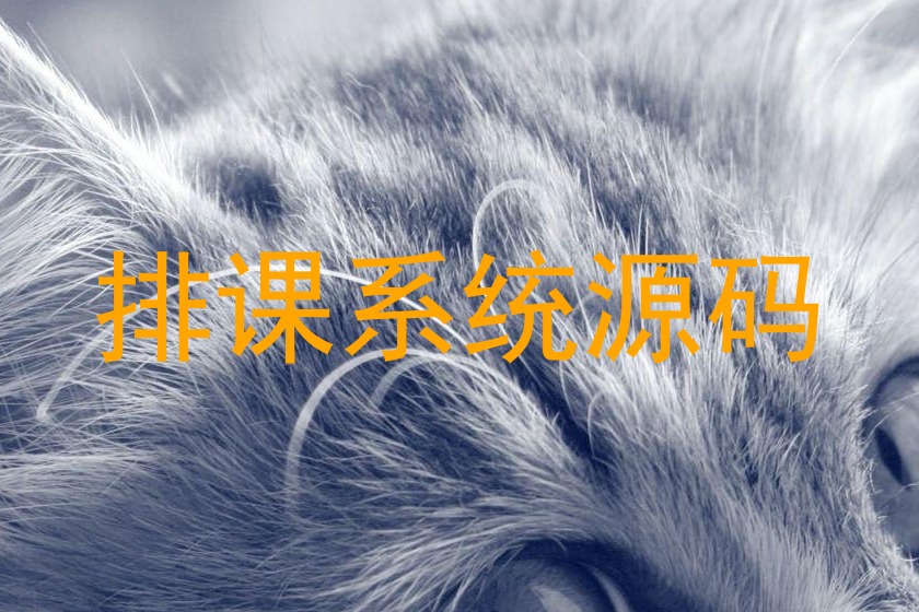 排课系统源码