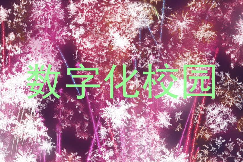 數(shù)字化校園