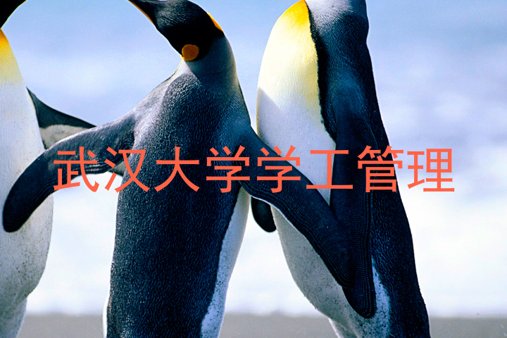 武汉大学学工管理