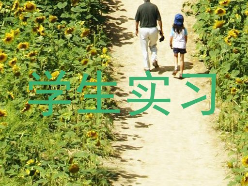 学生实习