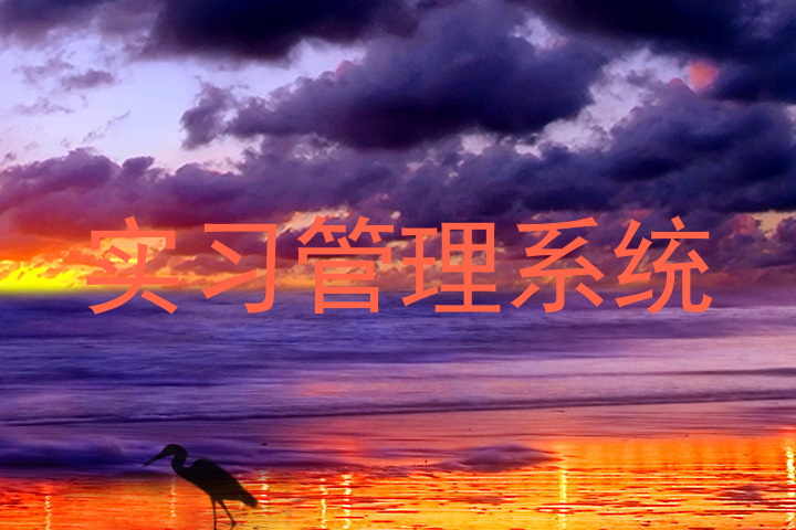 实习管理系统