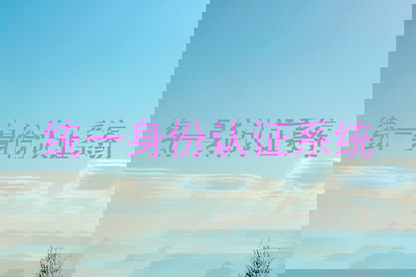 统一身份认证系统