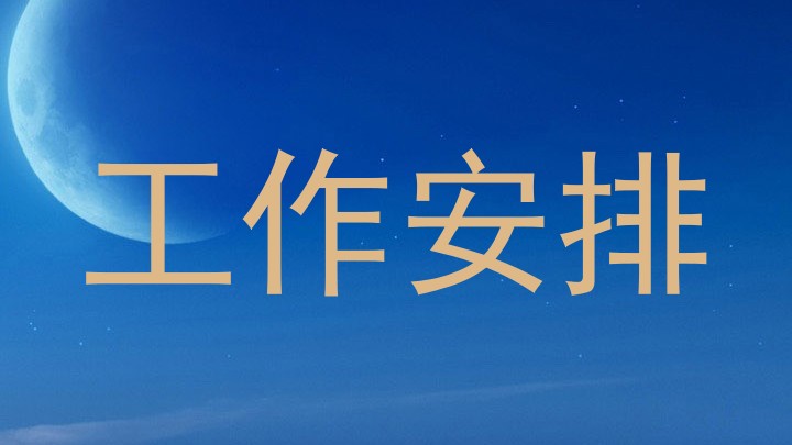 工作安排