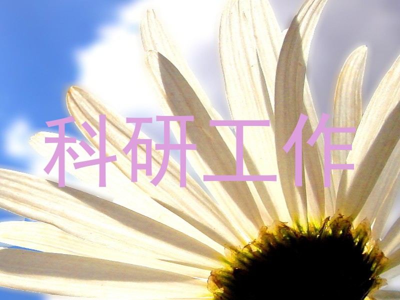 科研工作