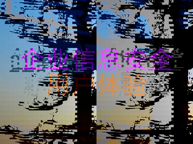 企业信息安全