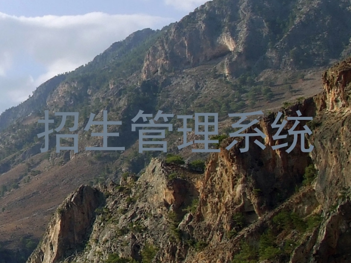 招生管理系统