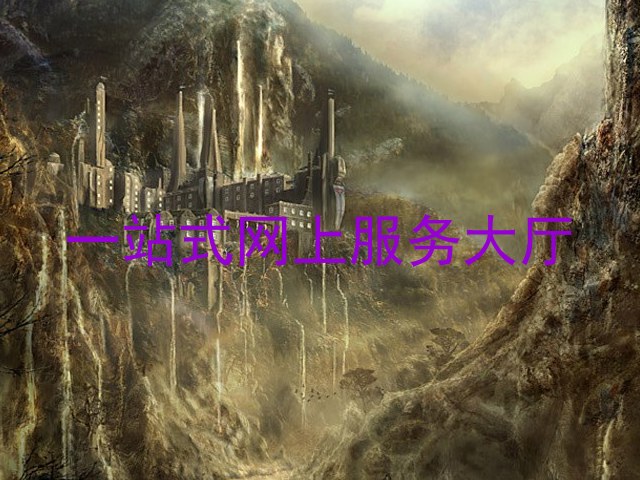 一站式网上服务大厅
