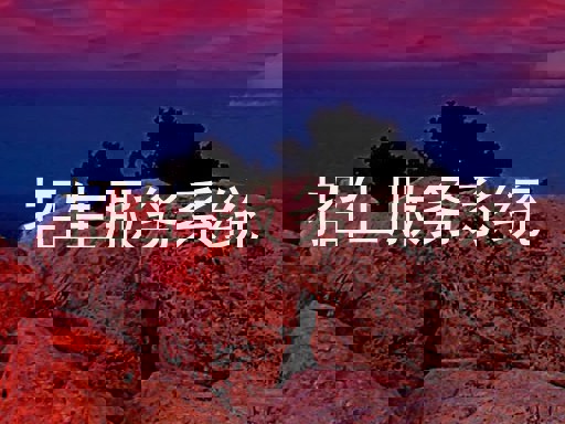 招生服务系统
